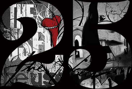 The Used Self Titled マーブルカラー レコード The Used Self Titled マーブルカラー レコード The Used Self